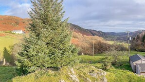 A rural landscape with a large coniferous tree, a small white building, and rolling hills in the background. - 2 bedroom accommodation in Corwen (Corwen)