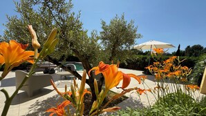 Un giardino con fiori arancioni e una zona piscina sullo sfondo.
