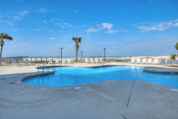 Relax by the pool surrounded by palm trees and lounge chairs.