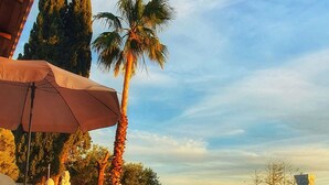 Un salon de bord de piscine avec une clôture blanche, des palmiers et un ciel dégagé.