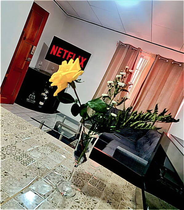 TV màn hình phẳng 48-inch có truyền hình cáp, TV, Netflix 