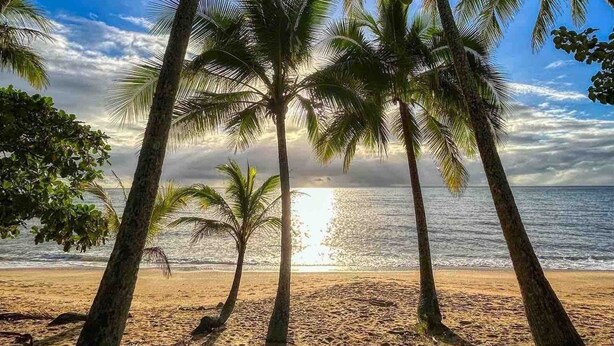 A beach with palm trees and the ocean in the background. - Ultimate heaven of comfort and relaxation. Entire house, large private pool.  (Kewarra Beach)