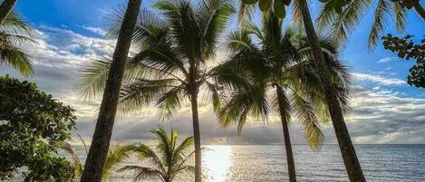 Nær stranden og solsenger