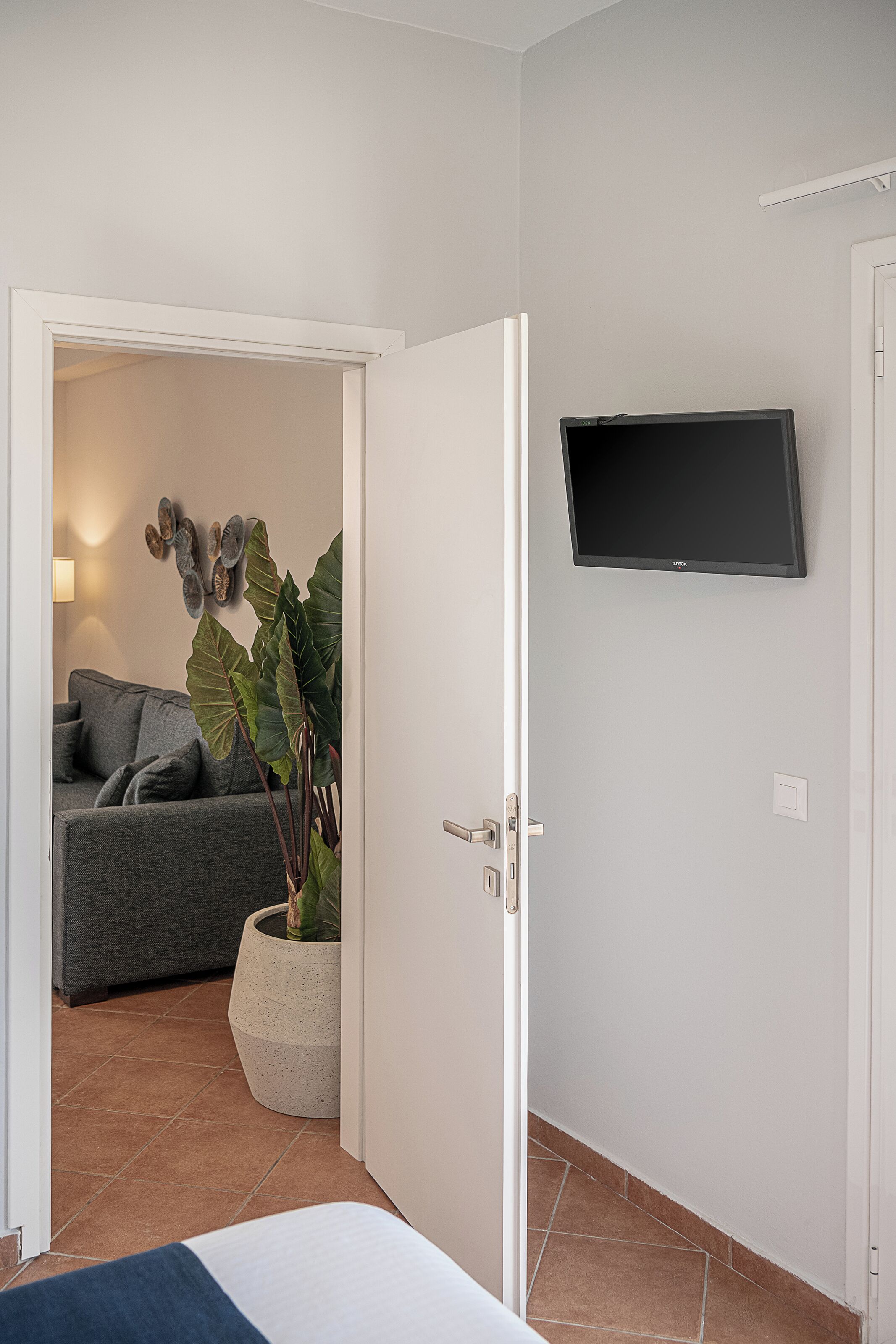 A modern room with a grey sofa, a large potted plant, a flat-screen TV mounted on the wall, and a door leading to another room.