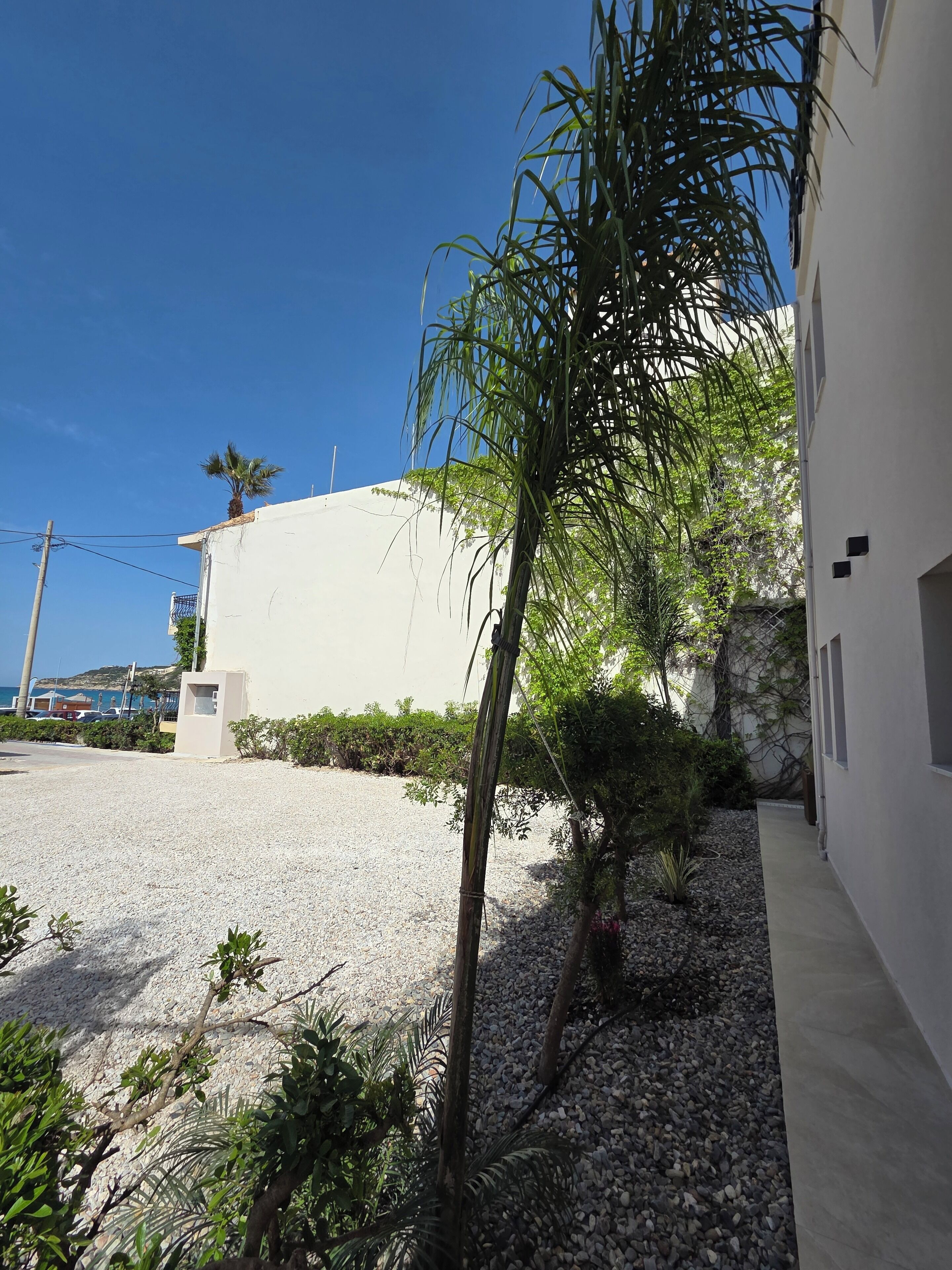 A white building with a gravel driveway, a palm tree, and a clear blue sky.