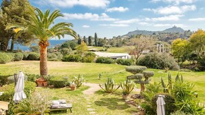 Un jardí exuberant amb una palmera, diferents arbustos i una vista d'una collada amb edificis a la distància.