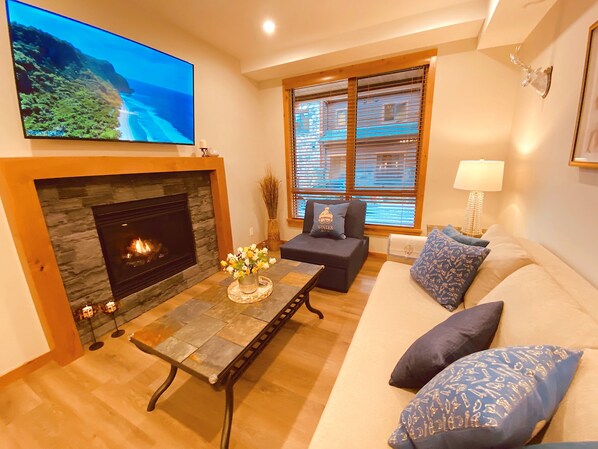 Smart TV, fireplace, books