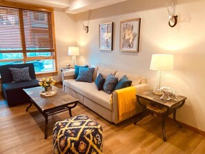 Smart TV, fireplace, books