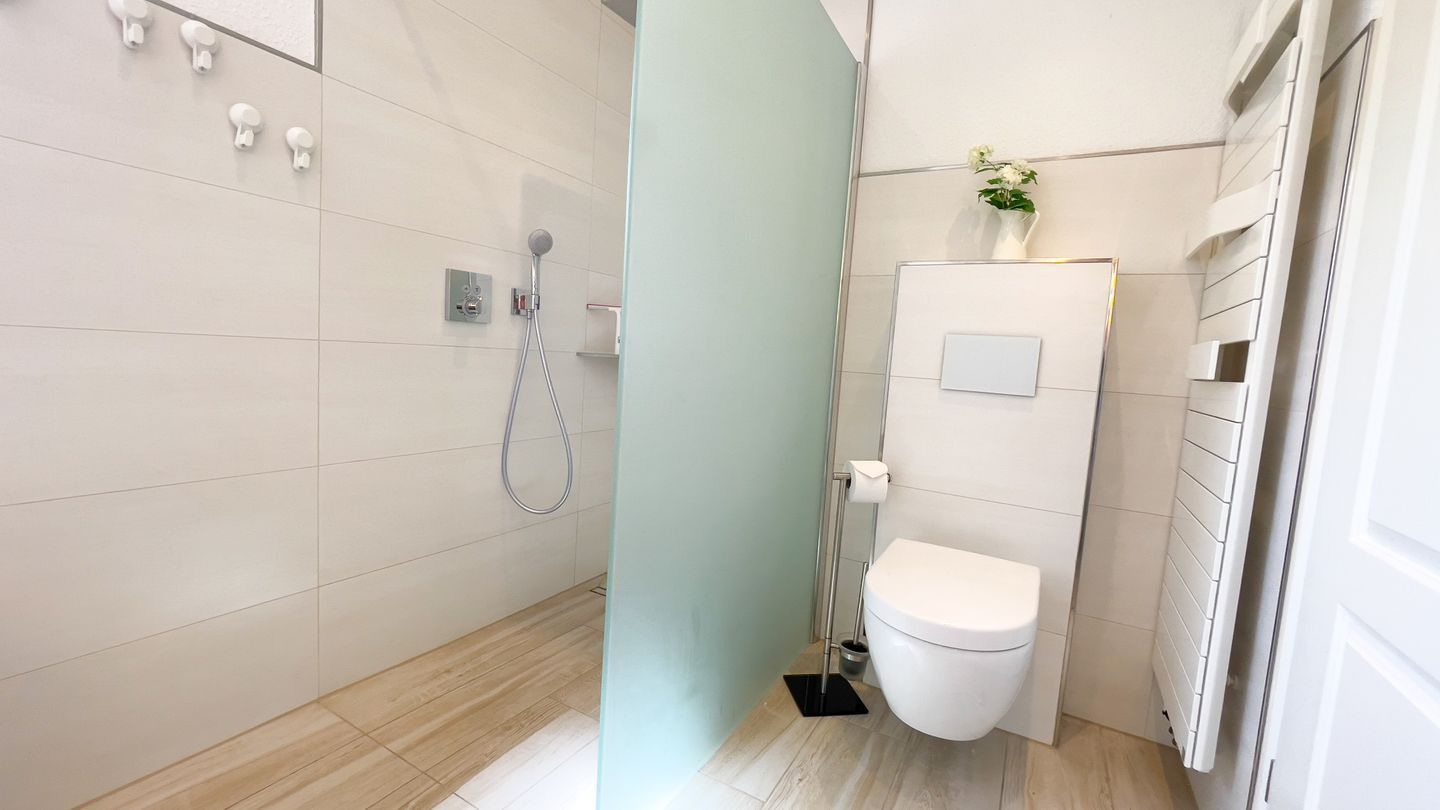 Ein modernes Badezimmer mit Dusche, Toilette und einer kleinen Pflanze an der Wand.