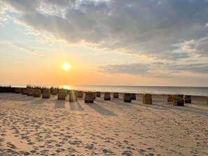 A beach with sunlit sky, sand, and rows of beach chairs.