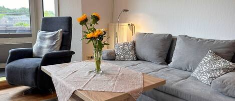 TV, tavolo da ping pong, impianto stereo