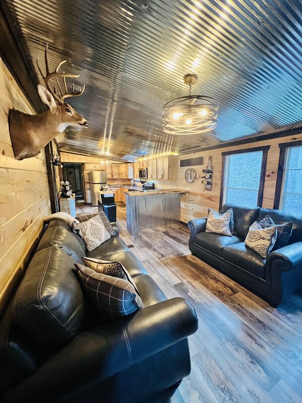 Älytelevisio, takka