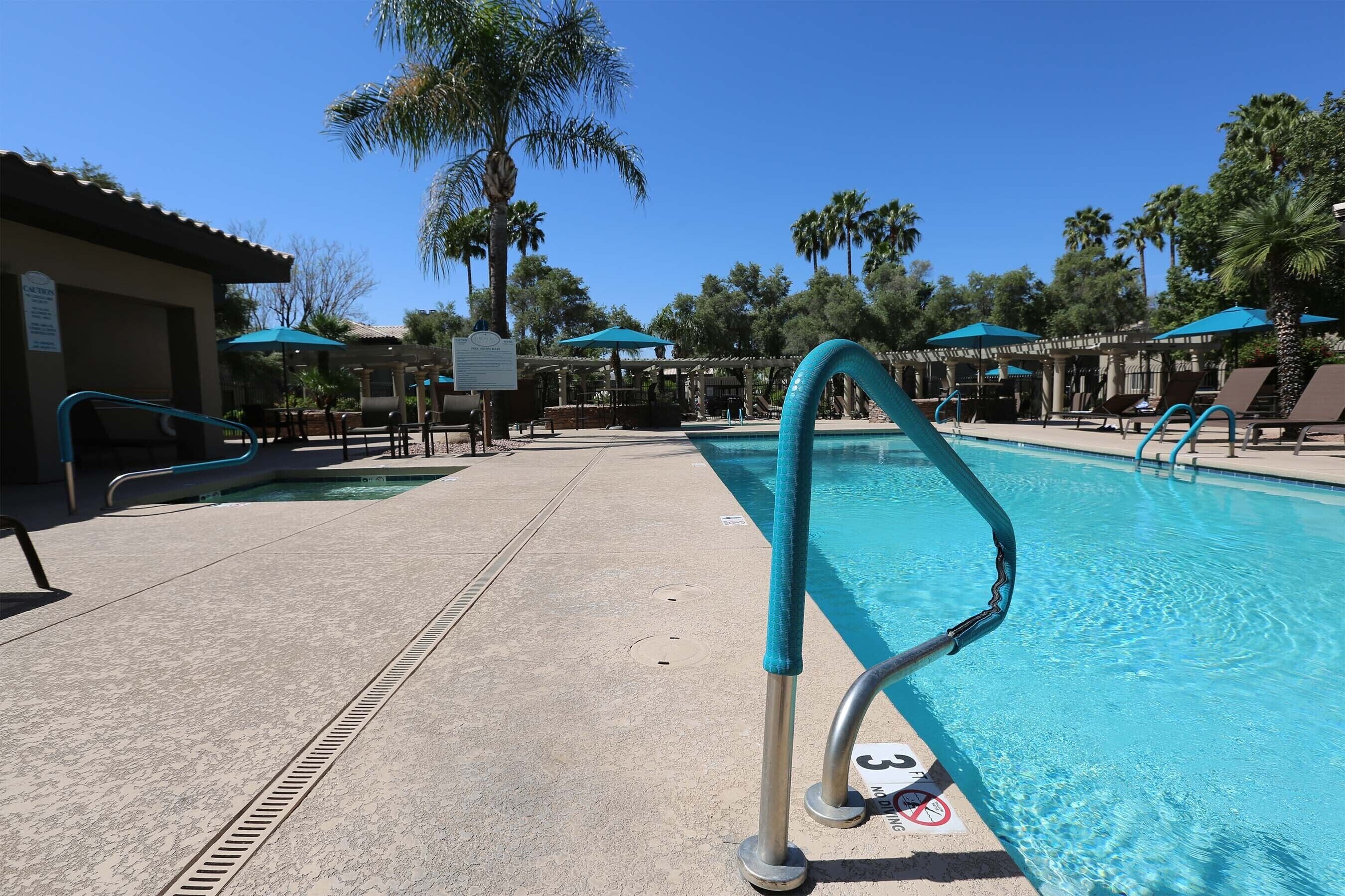A swimming pool with lounge chairs and umbrellas, surrounded by palm trees and a clear sky.