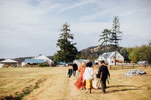 Outdoor wedding area