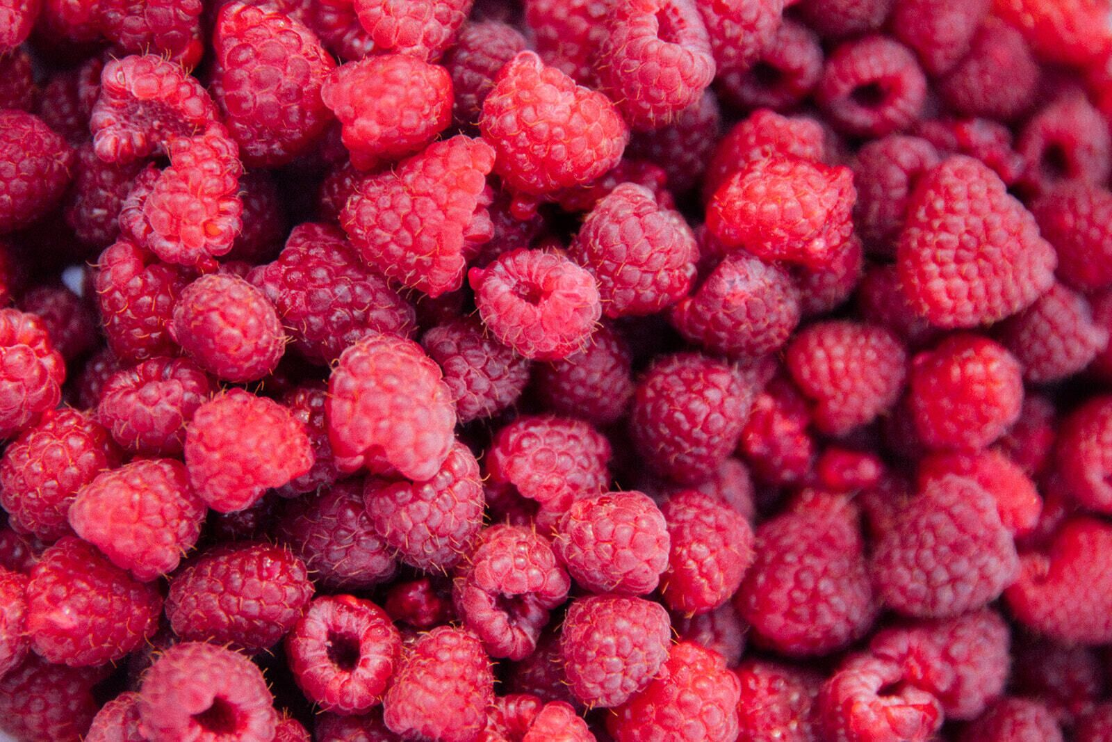 A close-up of numerous red raspberries.
