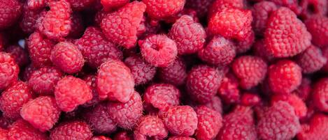 A close-up of numerous red raspberries.