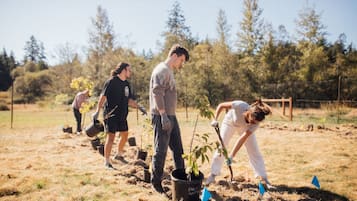 People planting trees in a field with a fence and trees in the background.