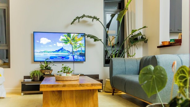 Un salon avec un téléviseur à écran plat fixé au mur, une table basse en bois, un canapé gris et plusieurs plantes en pot.