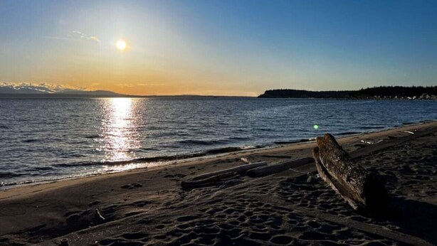 A beach with a log in the foreground, calm water, and a sunset in the background. - NEWLY Renovated Anchor House | Rooftop Patio | Pet Friendly | 3min Walk to Beach (Freeland)