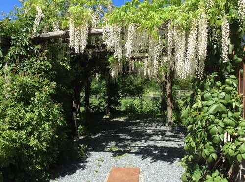 Romantic accommodation in Marest villa with beautiful garden, in Beigua Park