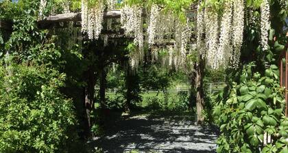 Romantic accommodation in Marest villa with beautiful garden, in Beigua Park