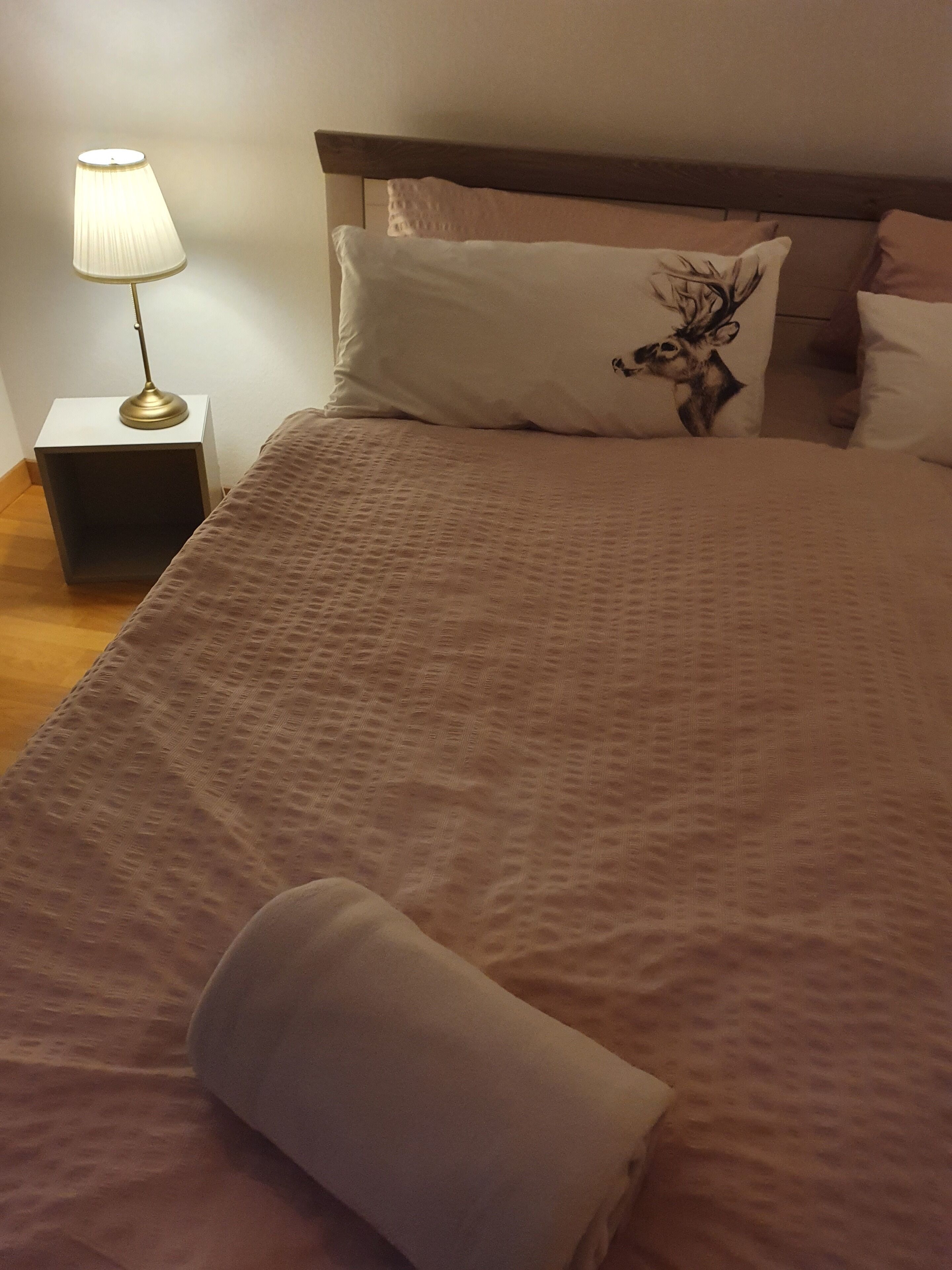 Quiet 2.5 room oasis between the lake and Pilatus