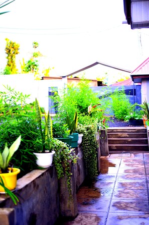 A garden with potted plants and a staircase leading to a building. - Safari Park House (Arusha)
