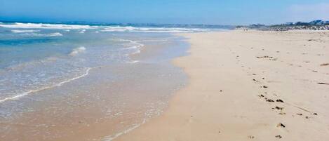 Sun-loungers, beach towels