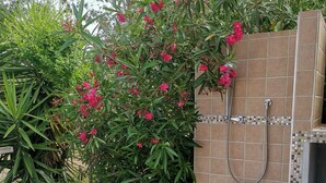 Une zone de douche carrelée, dotée d’un pommeau de douche et d’une petite marche menant à l’intérieur, le tout entouré d’une végétation luxuriante et de plantes en fleurs.