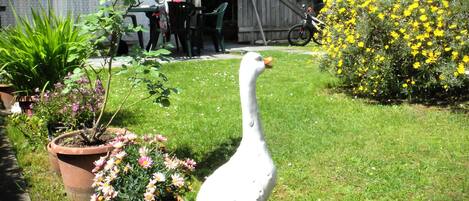 Overnatningsstedets område