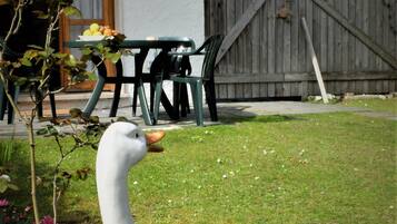 A white goose in a garden with a wooden fence, a table, and chairs in the background.