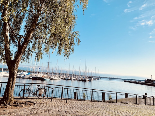 Marina - Attic apartment - Villa Teichblick (Stralsund)