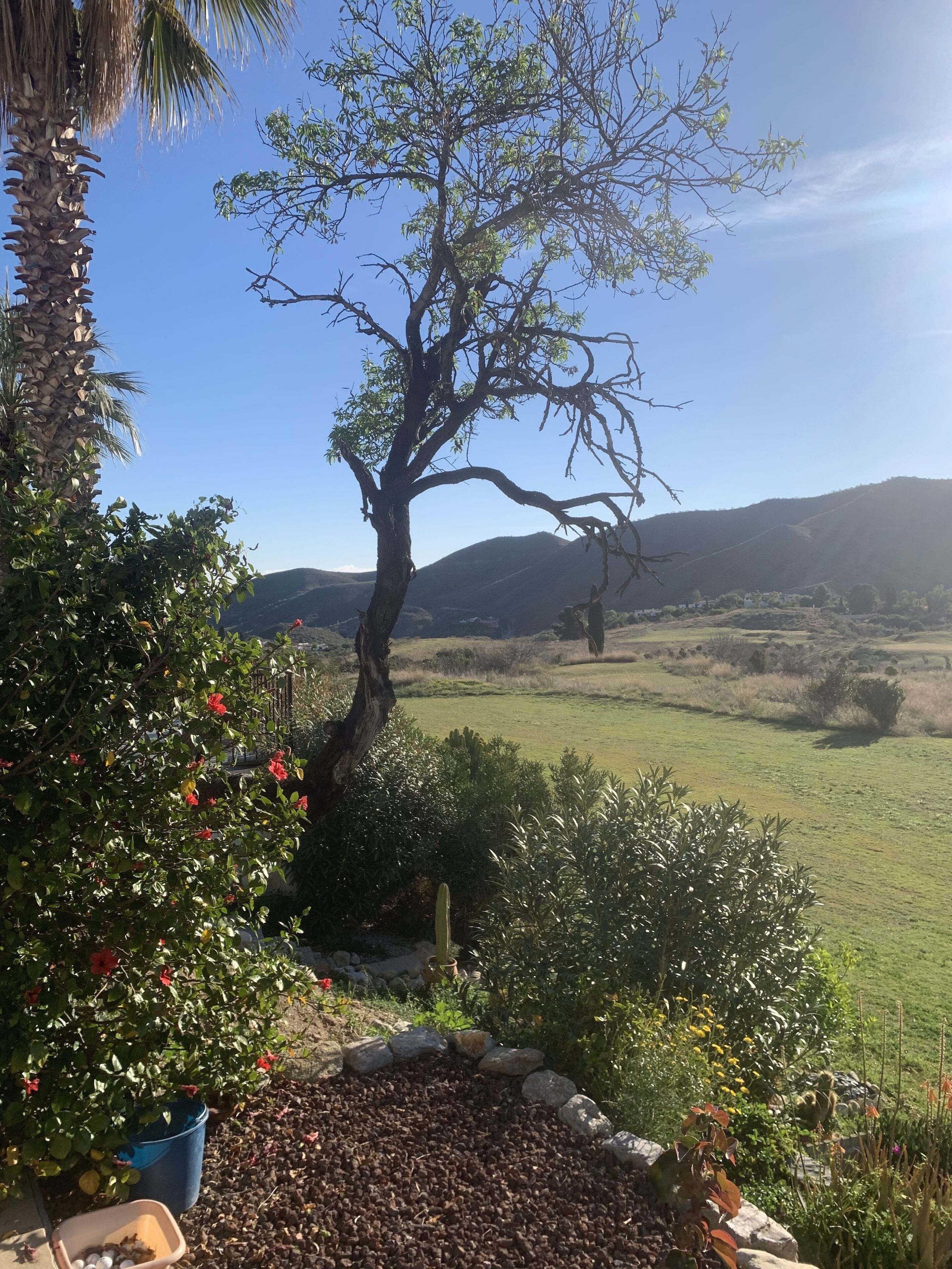 Jardines del alojamiento