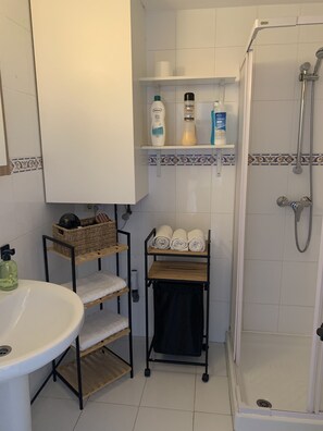 Shower, bidet, towels, soap