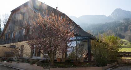 Immersion en moyenne montagne Ă 8mn de l'A40