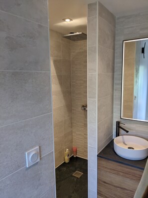 Shower, hair dryer, towels, soap - Large house with swimming pool in Lyon ideal for families, close to transport links (Lyon)