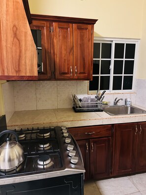 Kühlschrank, Mikrowelle, Herdplatte, Wasserkocher