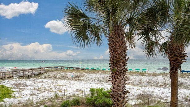Ein Strand mit Palmen, einer Holzstege und Sonnenschirmen.
