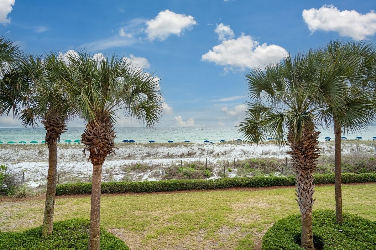 A beach view with palm trees and a clear sky.
