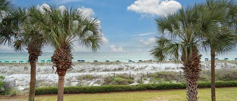 A beach view with palm trees and a clear sky.