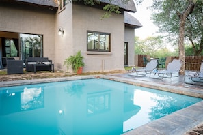 A modern house with a swimming pool, outdoor furniture, and a thatched roof. - Nkanyi Wildlife House & Cottage (Hoedspruit)