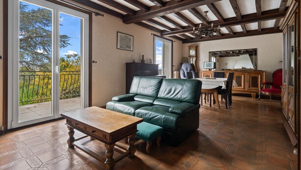 Un vaste espace de vie comprenant un canapé en cuir vert, une table en bois et une table à manger avec des chaises. Un balcon offre une vue sur les arbres et un ciel dégagé.