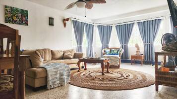 スマートテレビ、書庫、ステレオ