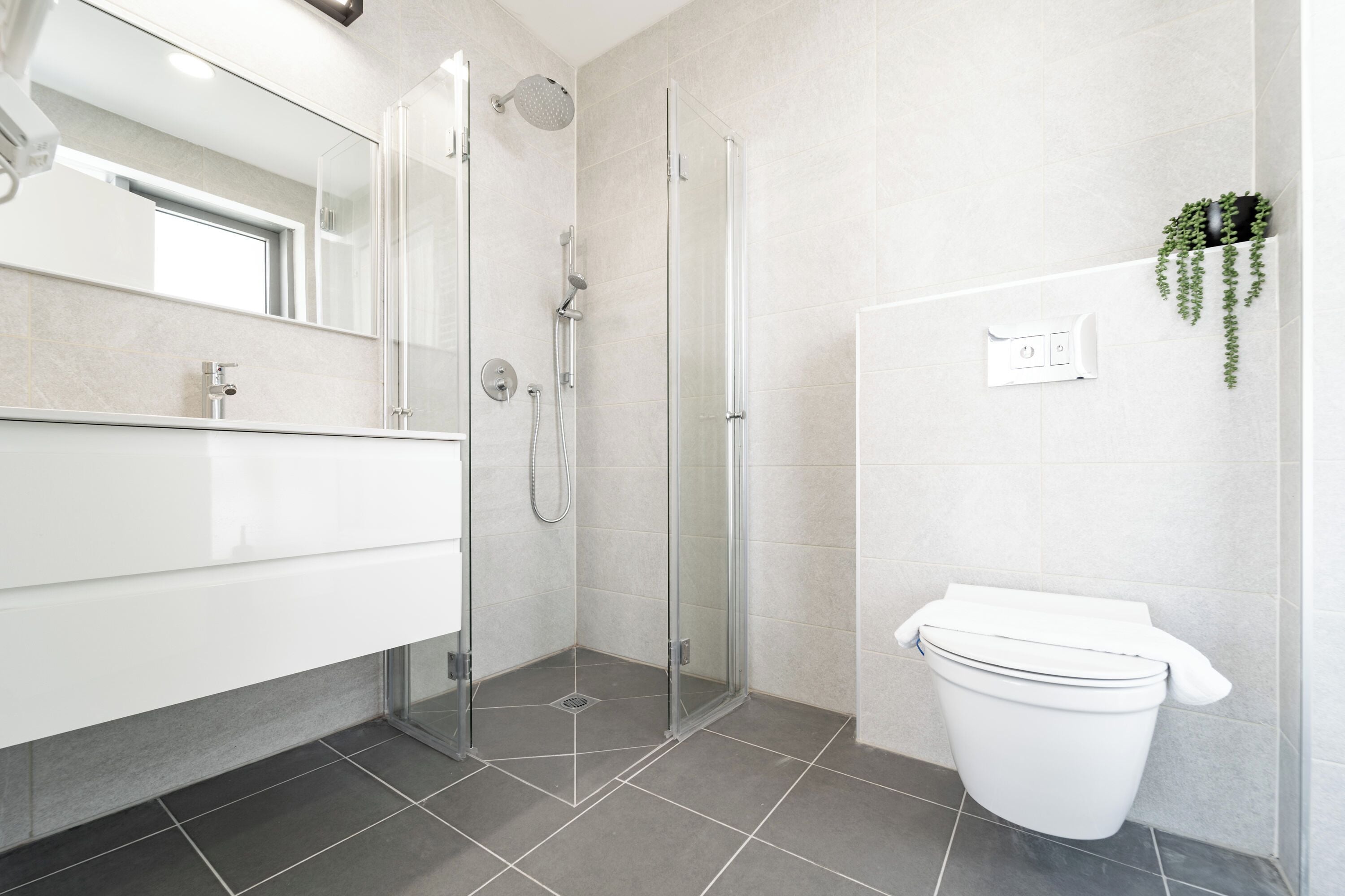A modern bathroom with a glass shower enclosure, a white toilet, and a mirror above the sink.