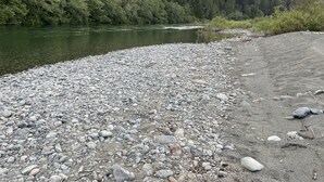 Una orilla rocosa de río con un bosque al fondo.