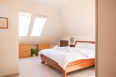 Rooftop: 85sqm² | castle view | loggia | office | air conditioning