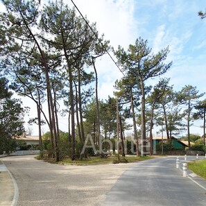 Terrain de l’hébergement