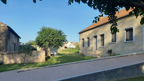 A residential area with a paved walkway, a tree, and houses with visible windows and doors.