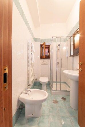 Regadera, secadora de cabello, bidet, toallas 