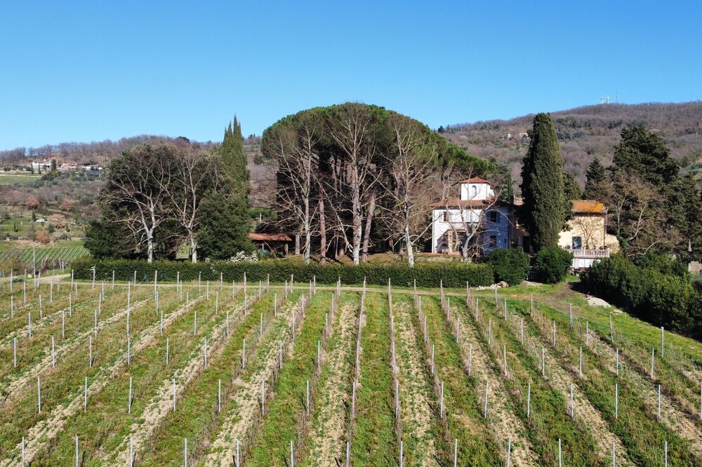 Azienda agricola Frascole